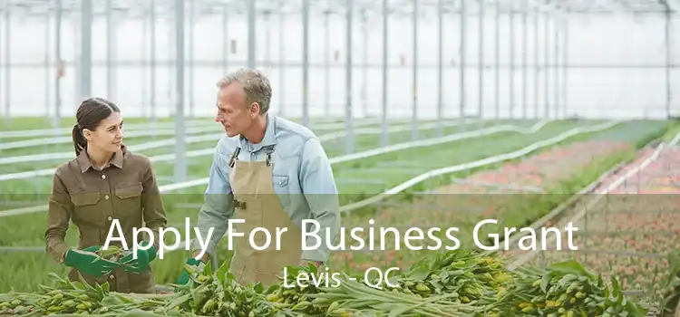 Apply For Business Grant Levis - QC